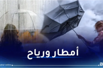 أمطار غزيرة.. رياح قوية ورعود على 19 ولاية اليوم!