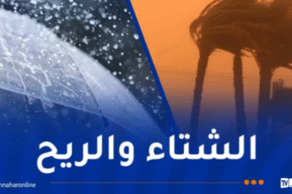 أمطار غزيرة..زوابع رملية ورياح قوية في هذه الولايات