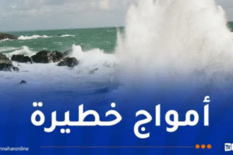 أمواج عاتية وخطيرة على هذه السواحل
