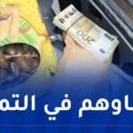 إحباط محاولة تهريب 182 ألف أورو إلى تركيا وضبط 1352 قطعة نقدية أثرية