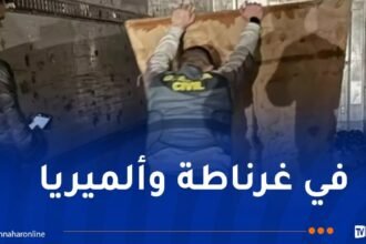 إسبانيا: تفكيك شبكة لتهريب المخدرات متورطة مع المغرب
