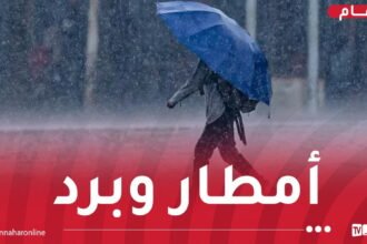 إضطراب جوي قوي.. أمطار غزيرة وبرودة بداية من الغد بهذه الولايات!