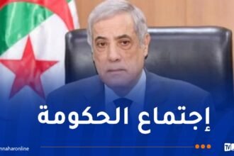 الإستثمار في الهواتف الذكية وتخزين الحبوب .. مشاريع هامة على طاولة الحكومة