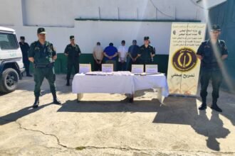 البليدة: الدرك يوقف 5 أشخاص ويحجز مؤثرات عقلية وأموال مشبوهة بالعفرون