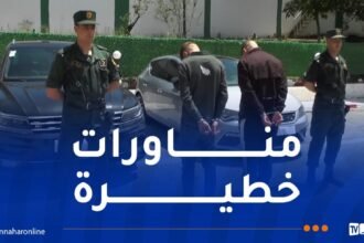 البويرة: توقيف شخصين قاما بتعريض حياة الغير للخطر بعين بسام