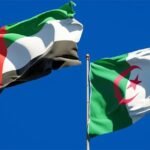 الجزائر توجه خطابا مباشرا إلى “دويلة الإمارات”.. سنردّ الصاع صاعين
