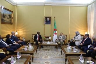 الجزائر وزيمبابوي يبحثان تعزيز التعاون القانوني والقضائي