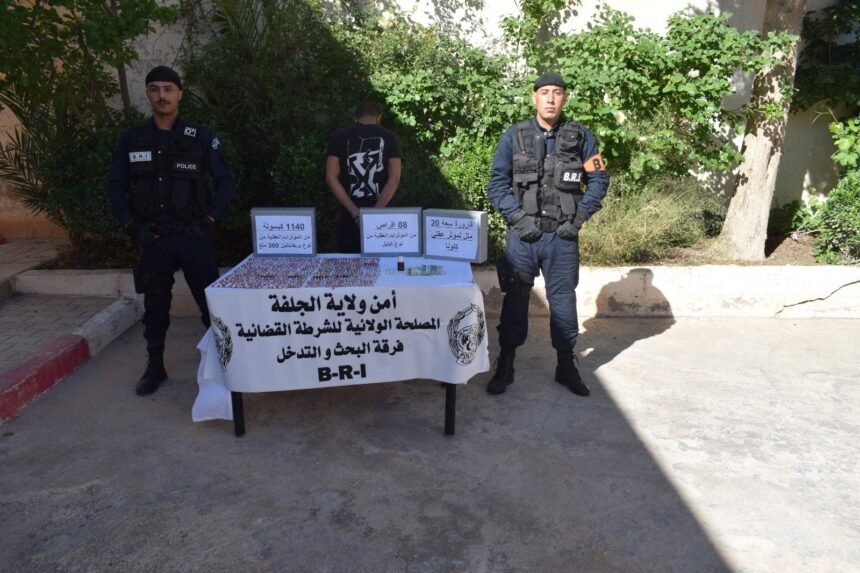 الجلفة: الإطاحة بمروّج المخدرات وحجز أزيد من 1140 قرص مهلوس
