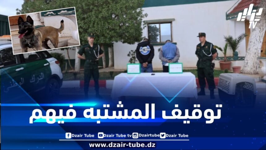 الحادثة أثارت غضبا على مواقع التواصل .. درك تيارت يلقي القبض على الشخصين اللذين قاما بتحريض كلب على قاصر وتصويره