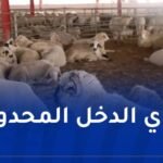 الدخل أقل من “5 ملايين”.. إعلان هام للراغبين في إقتناء أضاحي العيد المستوردة