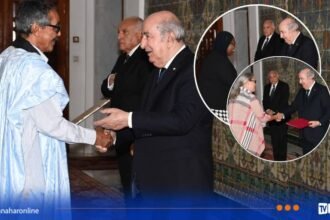 الرئيس تبون يترأس بقصر المرادية مراسم تقديم أوراق اعتماد ثلاثة سفراء