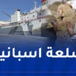 العاصمة.. وصول باخرة محملة بالأضاحي المستوردة