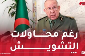 الفريق أول شنقريحة: الجزائر ستظل رقما فعالا في الأمن والسلام بالساحل