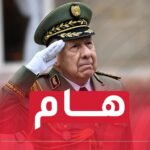 الفريق أول شنقريحة يُشرف على تنفيذ تمرين تكتيكي بالذخيرة الحية