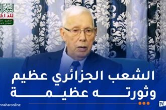 المجاهد محمد شريف عباس: رئيس الجمهورية رفع سقف الذاكرة الوطنية عاليا