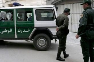 المدية.. الدرك الوطني يسترجع مركبة بعد ثلاثة أشهر من سرقتها