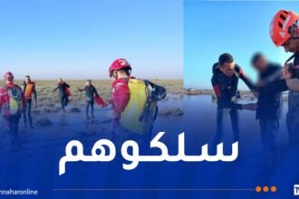 المدية: انقاذ شخصين حاصرتهما سيول وادي الطويل ببوغزول