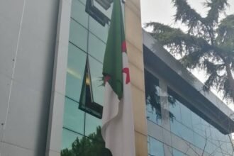 الموافقة على تعيين سفير الجزائر الجديد لدى تركيا