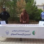 الوادي.. إحباط عملية نقل وتهريب أزيد من 1500 قرص مهلوس من قبل فتاة