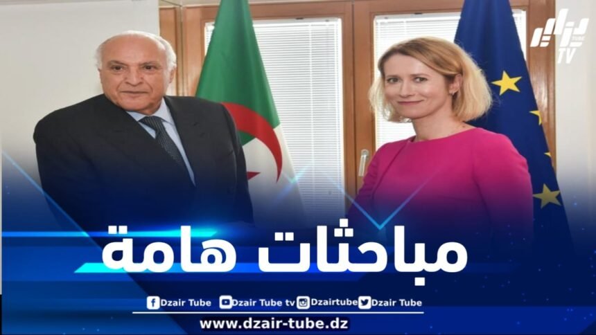الوزير عطاف يبحث مع مسؤولة أوروبية رفيعة المستوى مسألة مُراجعة اتفاق الشراكة بين الجزائر والاتحاد الأوروبي