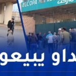 انطلاق عملية بيع الأضاحي المستوردة بمستغانم