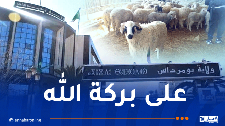 بداية من الغد ..  بيع الأضاحي المستوردة بولاية بومرداس 