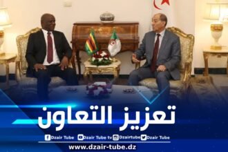 بلحاج يستقبل وفدا عن المحكمة الدستورية لزيمبابوي