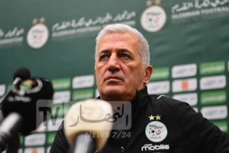 بيتكوفيتش عن مشواره مع الخُضر: “الهزيمة أمام غينيا كانت نقطة الانطلاق الحقيقية”