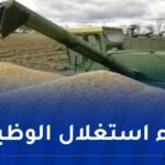 تحويلات مالية ضخمة.. إحالة إطارين بمؤسسة “SAP SEC” لإنتاج البذور على القضاء