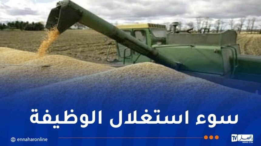 تحويلات مالية ضخمة.. إحالة إطارين بمؤسسة “SAP SEC” لإنتاج البذور على القضاء