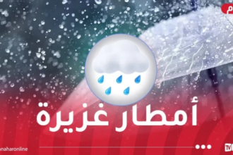 تساقط أمطار رعدية غزيرة على هذه الولايات