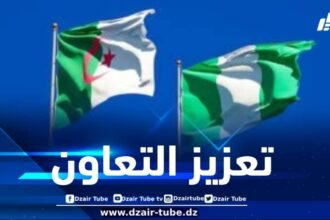تعزيزا للتعاون الثنائي .. وفد نيجيري هام يحل بالجزائر غداً الإثنين