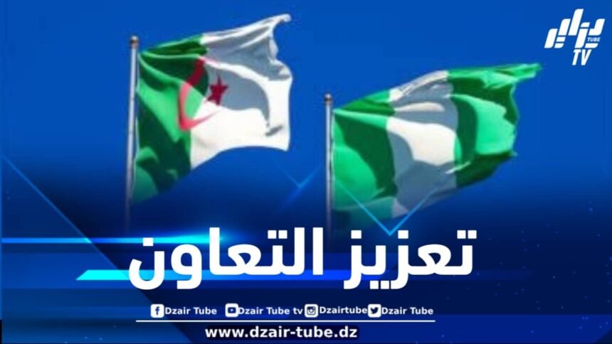 تعزيزا للتعاون الثنائي .. وفد نيجيري هام يحل بالجزائر غداً الإثنين