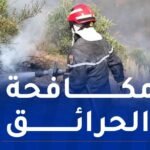 تفعيل مخطط مكافحة الحرائق.. ومنع الشواء في الغابات بعيد الأضحى