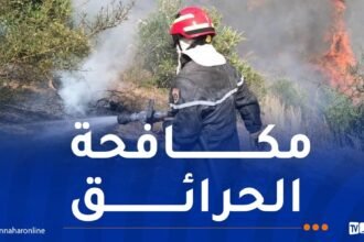 تفعيل مخطط مكافحة الحرائق.. ومنع الشواء في الغابات بعيد الأضحى