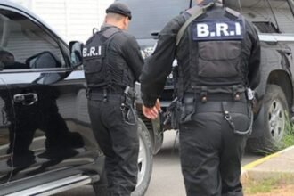 توقيف 5 اشخاص وحجز 530 غرام كوكايين و 290 كيف معالج بأم البواقي