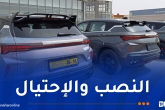 جيلي الجزائر تحذّر زبائنها!