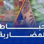 حجز 400 كلغ من “الموز” وتوقيف شخصين بتلمسان