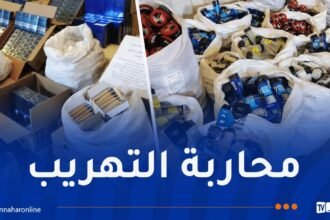 حجز بضائع وسلع مخبأة داخل سيارات بميناء وهران