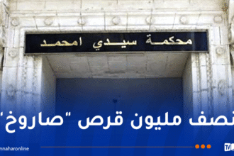 حجز عتاد حربي ومؤثرات عقلية.. إيداع 4 أشخاص في قضية تتعلق بمجموعة إرهابية بورقلة