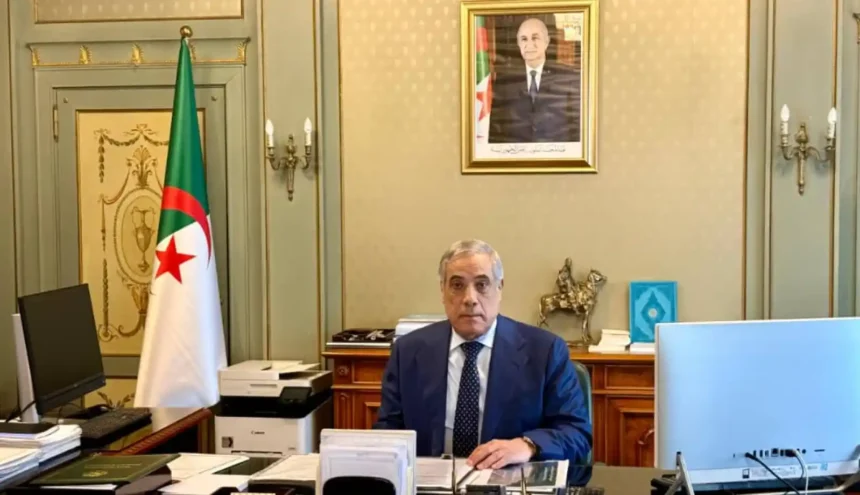 دراسة مشاريع هامة.. الوزير الأول يترأس إجتماعا للحكومة