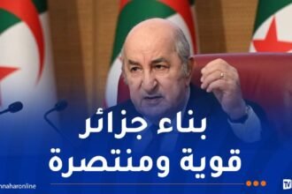 رئيس الجمهورية: الدفع بالجامعة ومنظومة التكوين إلى الارتباط بالواقع الاقتصادي