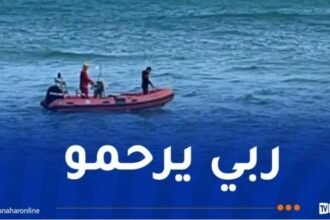سكيكدة.. انتشال جثة طفل غرق بسدّ بوسيابة