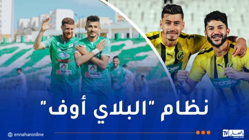 صعود 3 أندية إلى البطولة المحترفة بداية من الموسم القادم