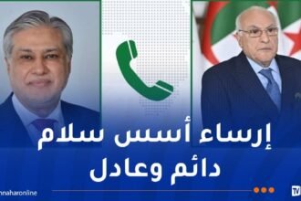 عطاف يتلقى مكالمة هاتفية من نائب رئيس الوزراء الباكستاني