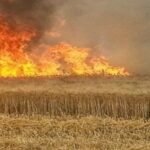 عين الدفلى.. إخماد حريق بمحصول زراعي في جليدة