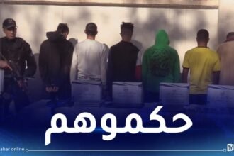 قسنطينة: الإطاحة بشبكة تُهرّب السيارات وتُزوّر الملفات القاعدية بعلي منجلي