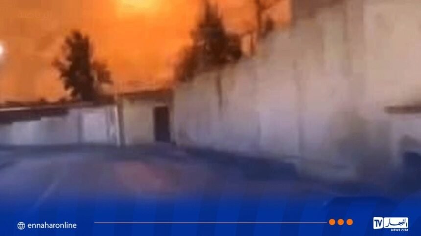  “كراغ” يوضح: هذه حقيقة الكرة النارية الكبيرة التي أضاءت سماء الجزائر