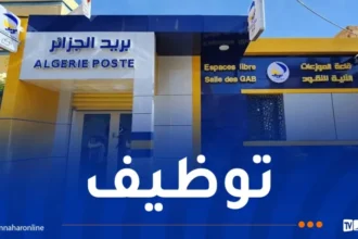 مسابقة بريد الجزائر.. الشروع في إرسال الاستدعاءات