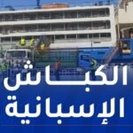 مستغانم: وصول باخرة محملة بالأضاحي المستوردة